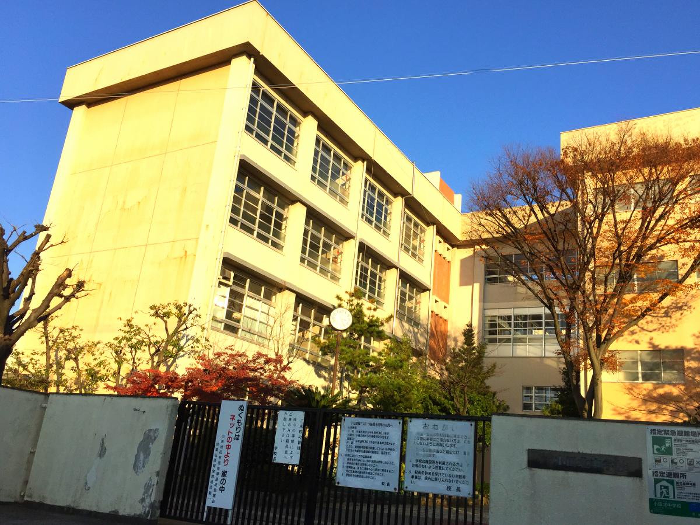 公の場での発言・インタビュー報道記録