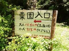 くぼ農園