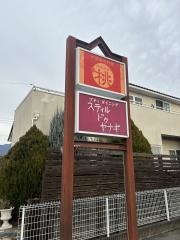 中国家庭料理桃