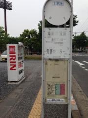 「鴻巣市役所」バス停留所