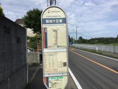 「新桜ケ丘東」バス停留所