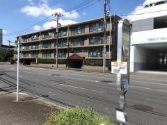 「荏田新道」バス停留所