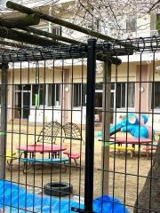 東住吉保育園