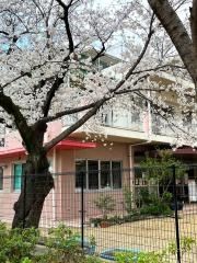 東住吉保育園