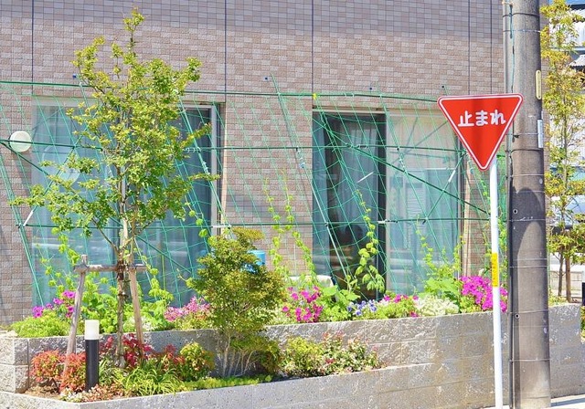 サービス付き高齢者向け住宅 スワーヴ植田一本松 ガーデニング