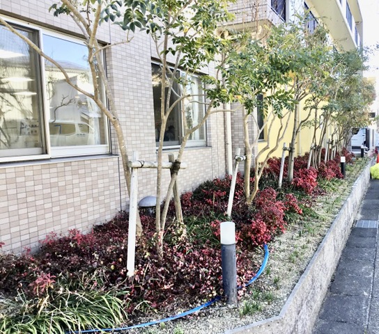 サービス付き高齢者向け住宅 スワーヴ植田一本松