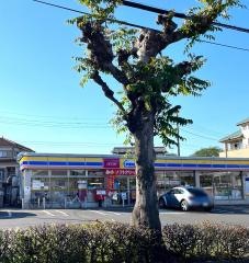 ミニストップ　さいたま宮本店