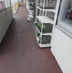 ダイソー　ザ・ビッグ都屋店