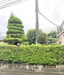 天理教　愛知大教会
