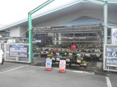 コメリハード＆グリーン　岩間店