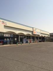 カワチ薬品　渡里店