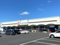 カワチ薬品　渡里店