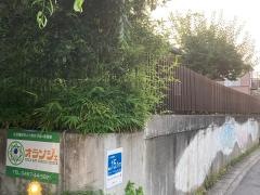 オランジェ