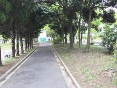 上中里公園