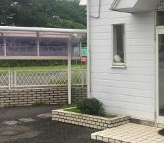 東山歯科医院