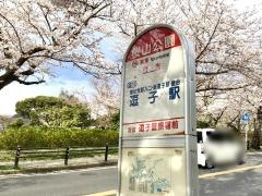 「桜山公園」バス停留所