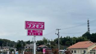 ドラッグストアコスモス東酒屋町店