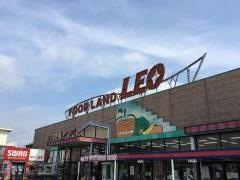 フードランドレオ 誉田店