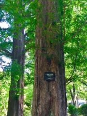 北野台わかば公園