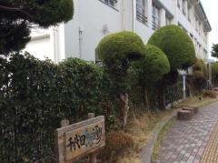 千代田小学校