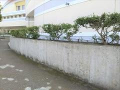 周南市新南陽ふれあいセンター