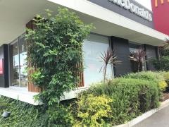 マクドナルド　中環松原店