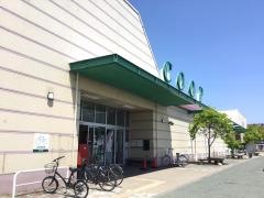 コープ　石巻大橋店（みやぎ生活協同組合）
