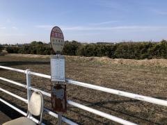 「白里局前」バス停留所