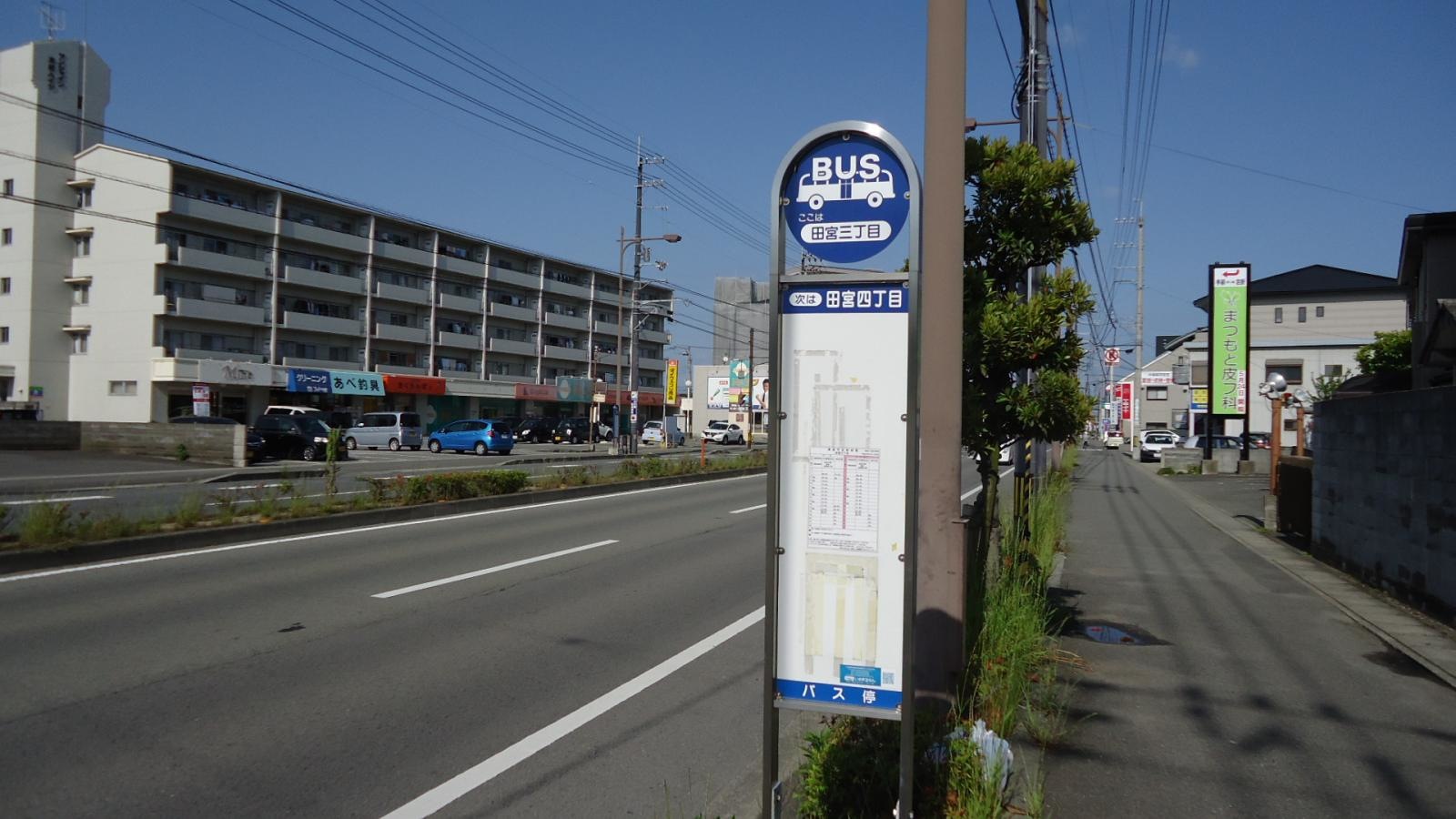 西から撮影