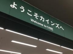 カインズ　半田店
