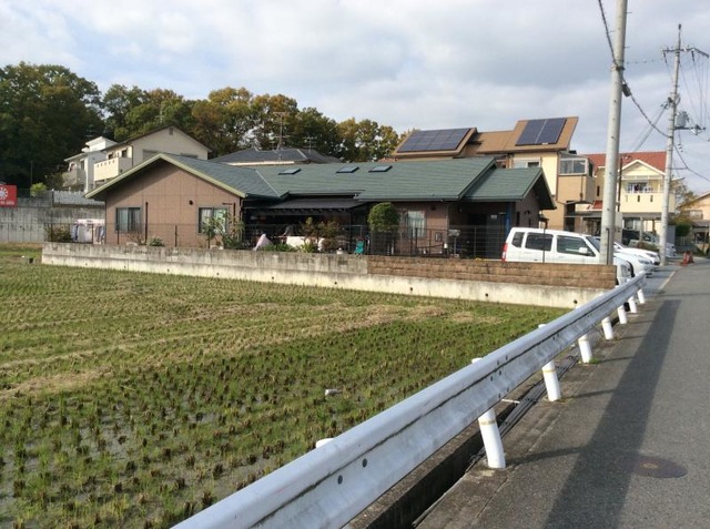 どんぐり 建物全景