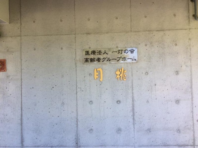 月桃 看板