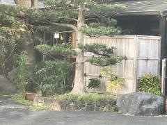 来た佐