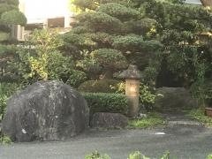 来た佐
