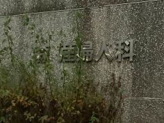 森産婦人科