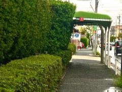 「菊園町一丁目」バス停留所