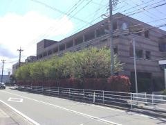 あんのん