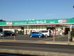 ドラッグセイムス　大袋西口薬局