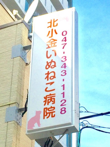 投稿写真4