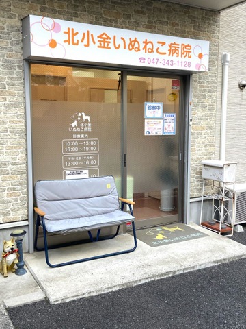 投稿写真1