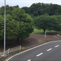 滝ケ谷公園