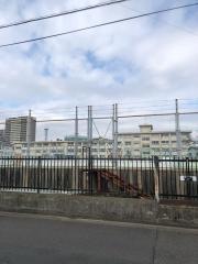 大志小学校