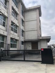 大志小学校