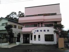 鴨川動物病院