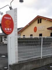 洛陽花