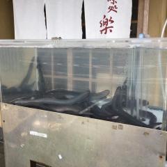 味処楽