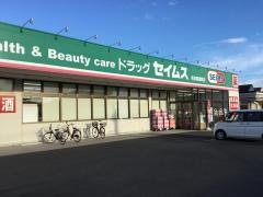 ドラッグセイムス　見沼風渡野店