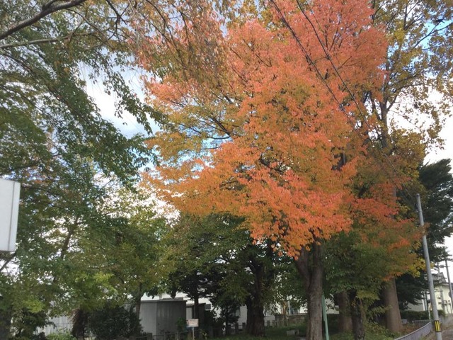施設写真10
