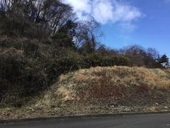 八木山南三丁目緑地