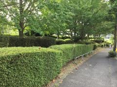 馬引沢第四緑地